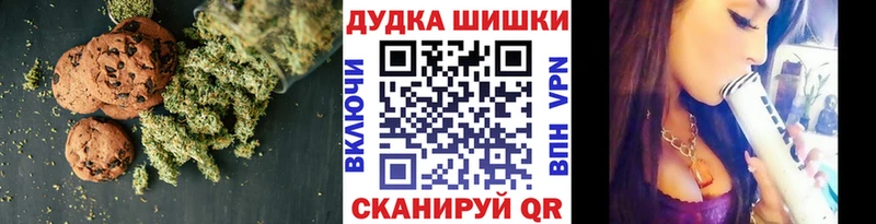 Купить  Новокубанск  Canna-Cookies конопля 