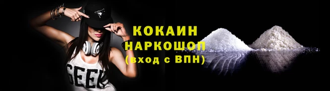 кокс Магас