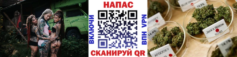 Купить закладки  Новокубанск  Марихуана Ganja 